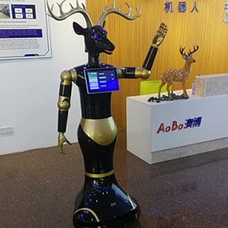 Intelligent Service Robot